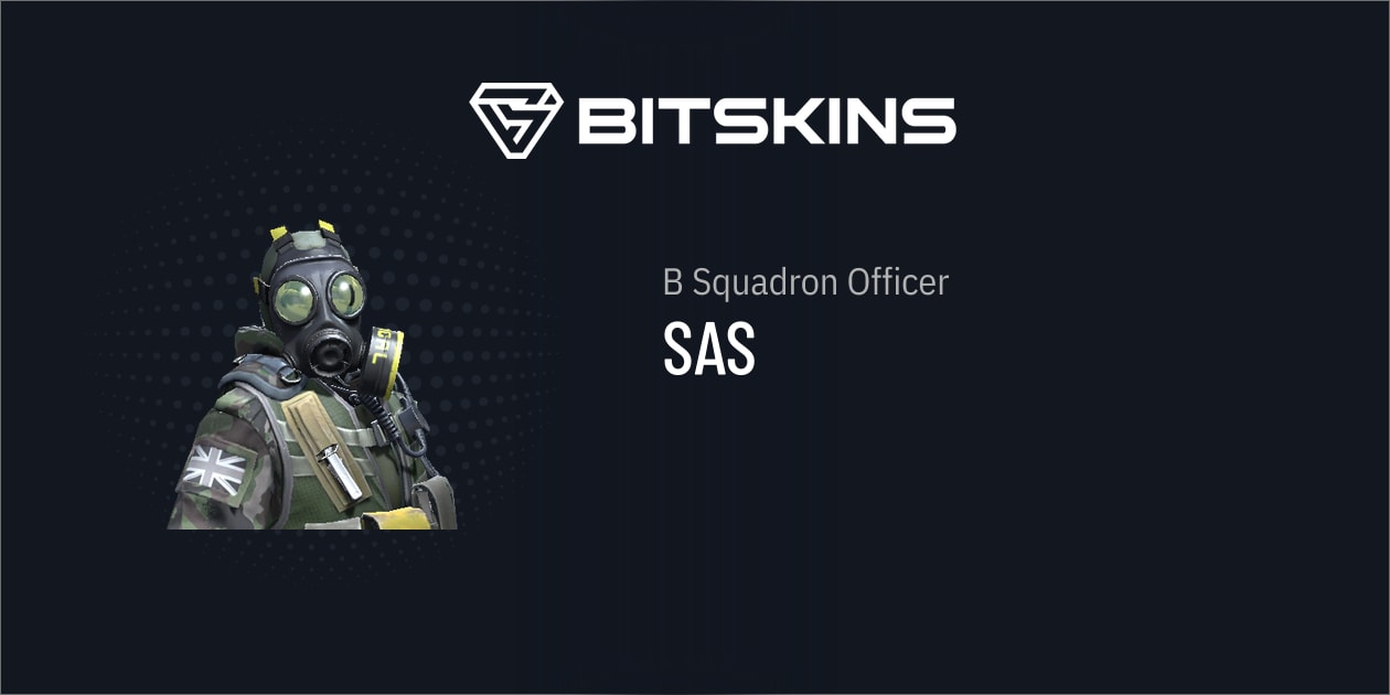 B Squadron Officer | SAS - CS2 Skins | Find And Trade Your Desired CS2 ...