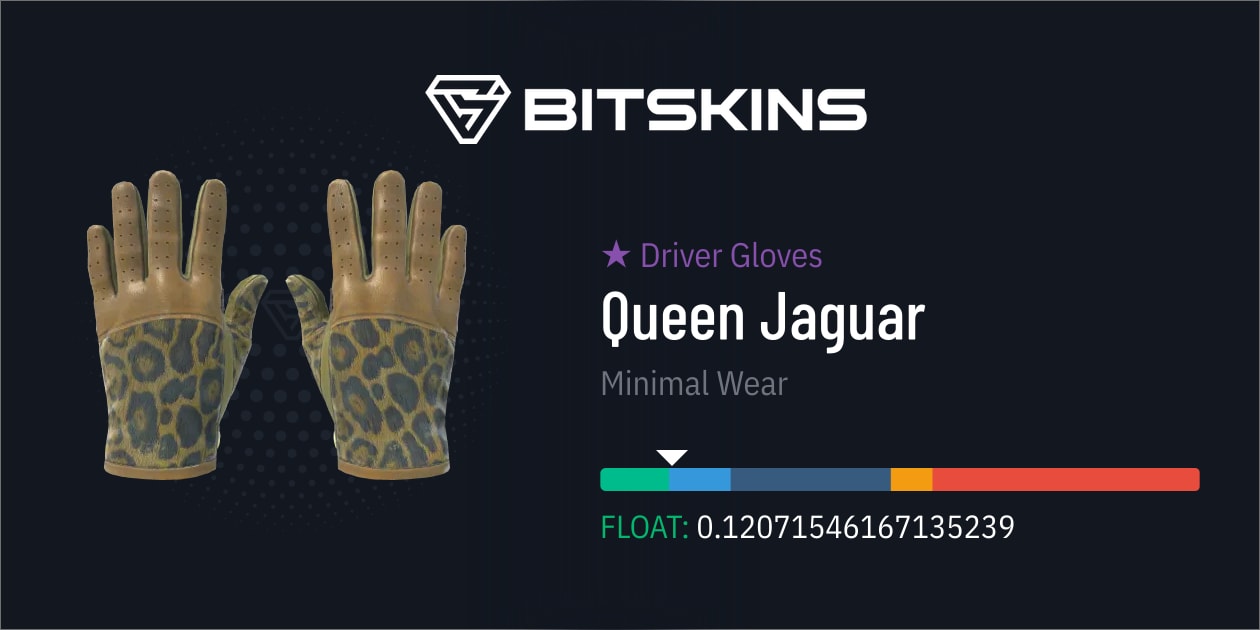 Driver Gloves Queen Jaguar (Minimal Wear) CS2 Skins Find and