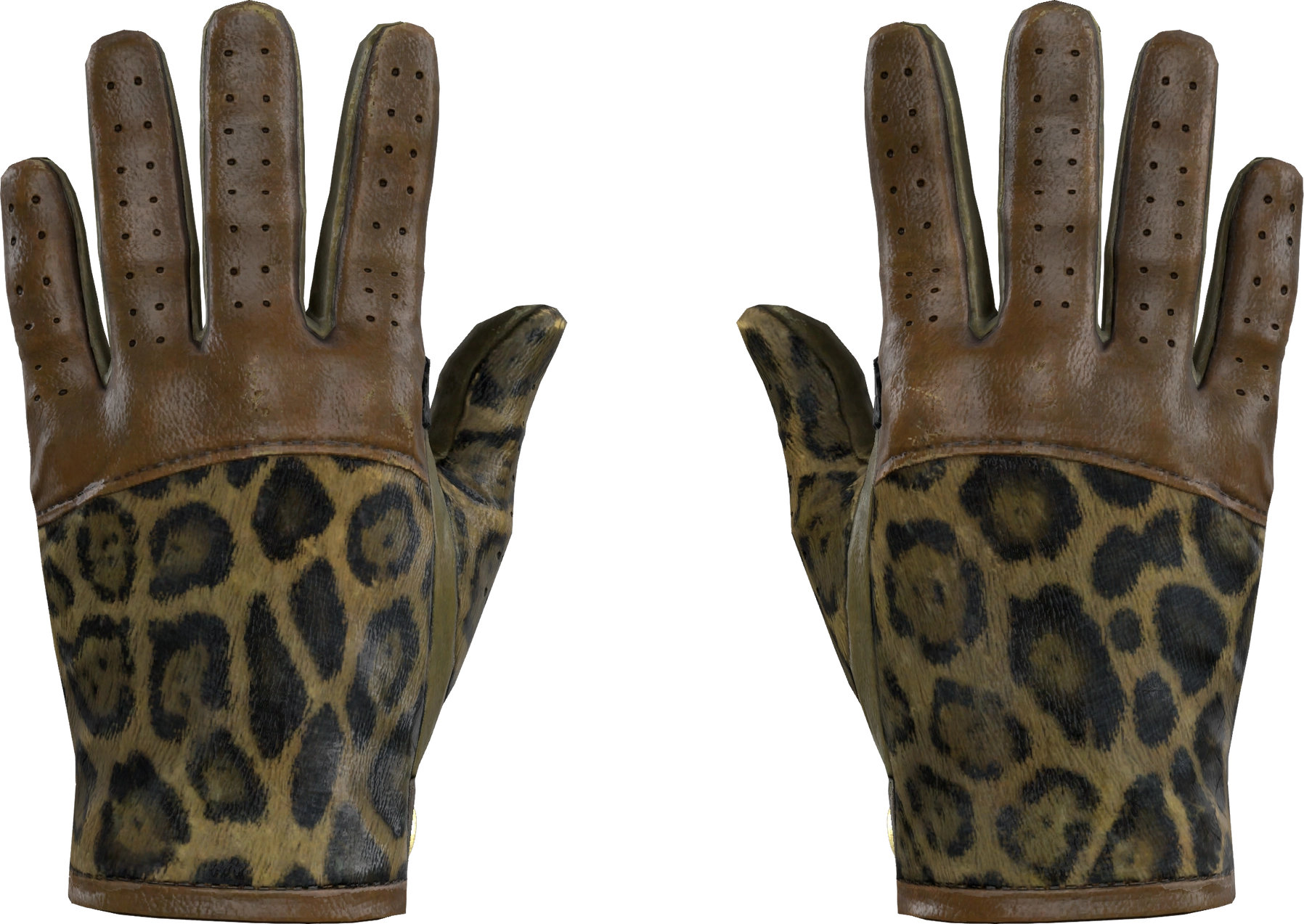 Driver Gloves Queen Jaguar (FieldTested) CS2 Skins Find and