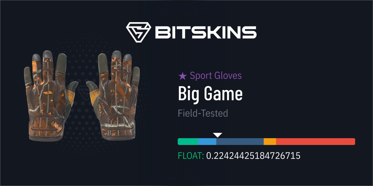 ☆ Sport Gloves | Big Game (Field-Tested) - CS2 Скины | Найдите и